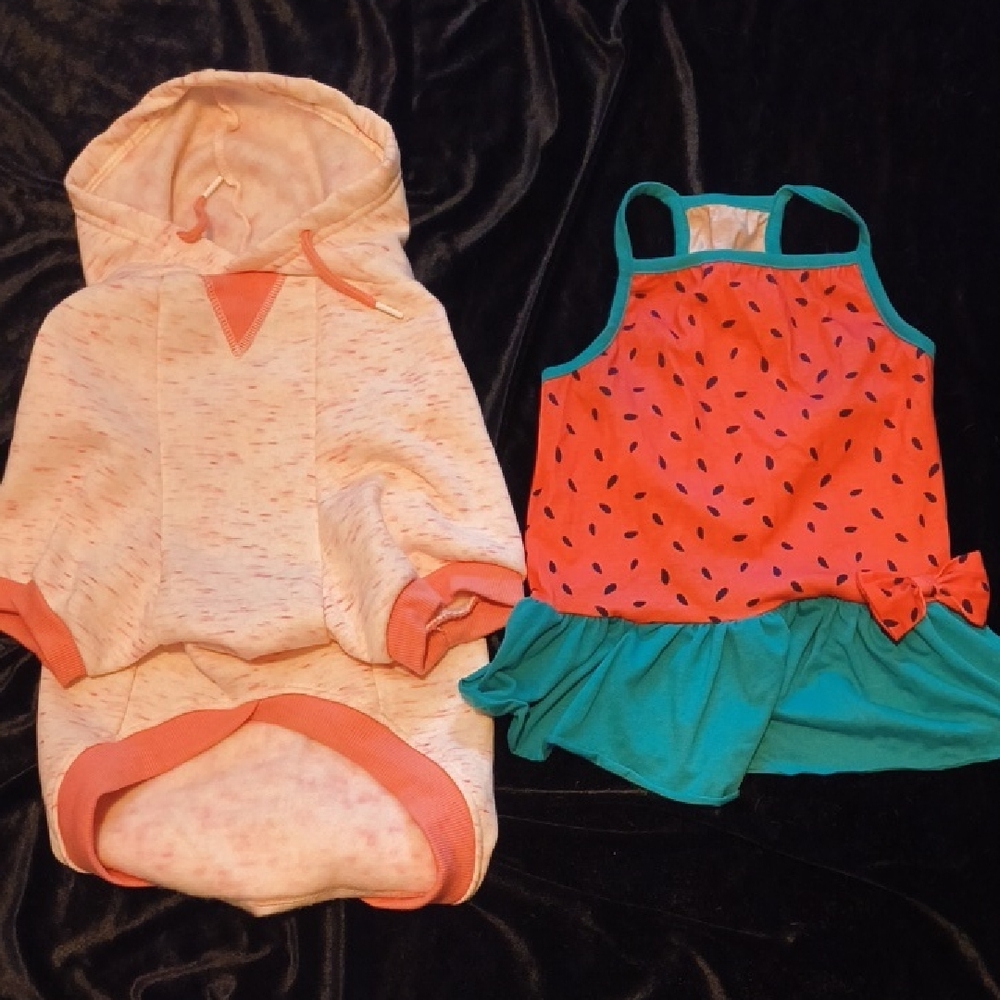Stylish Pink and Teal Dog Hoodie and Dress Set
